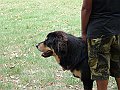 img 182